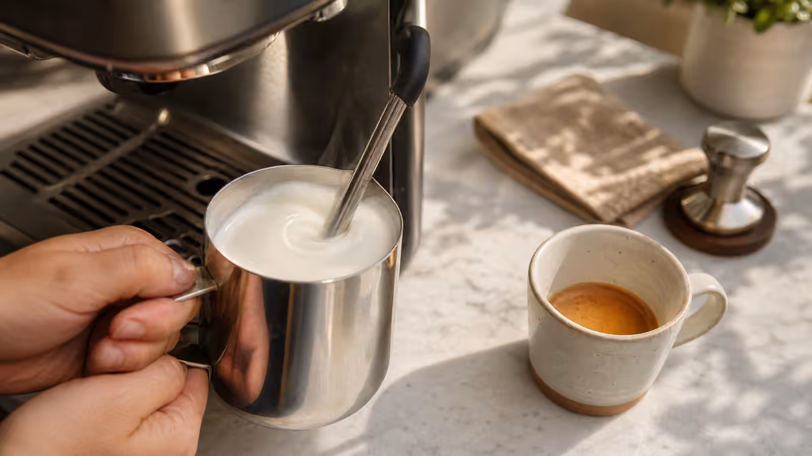 Milk Steaming and Microfoam: Better Lattes at Home
