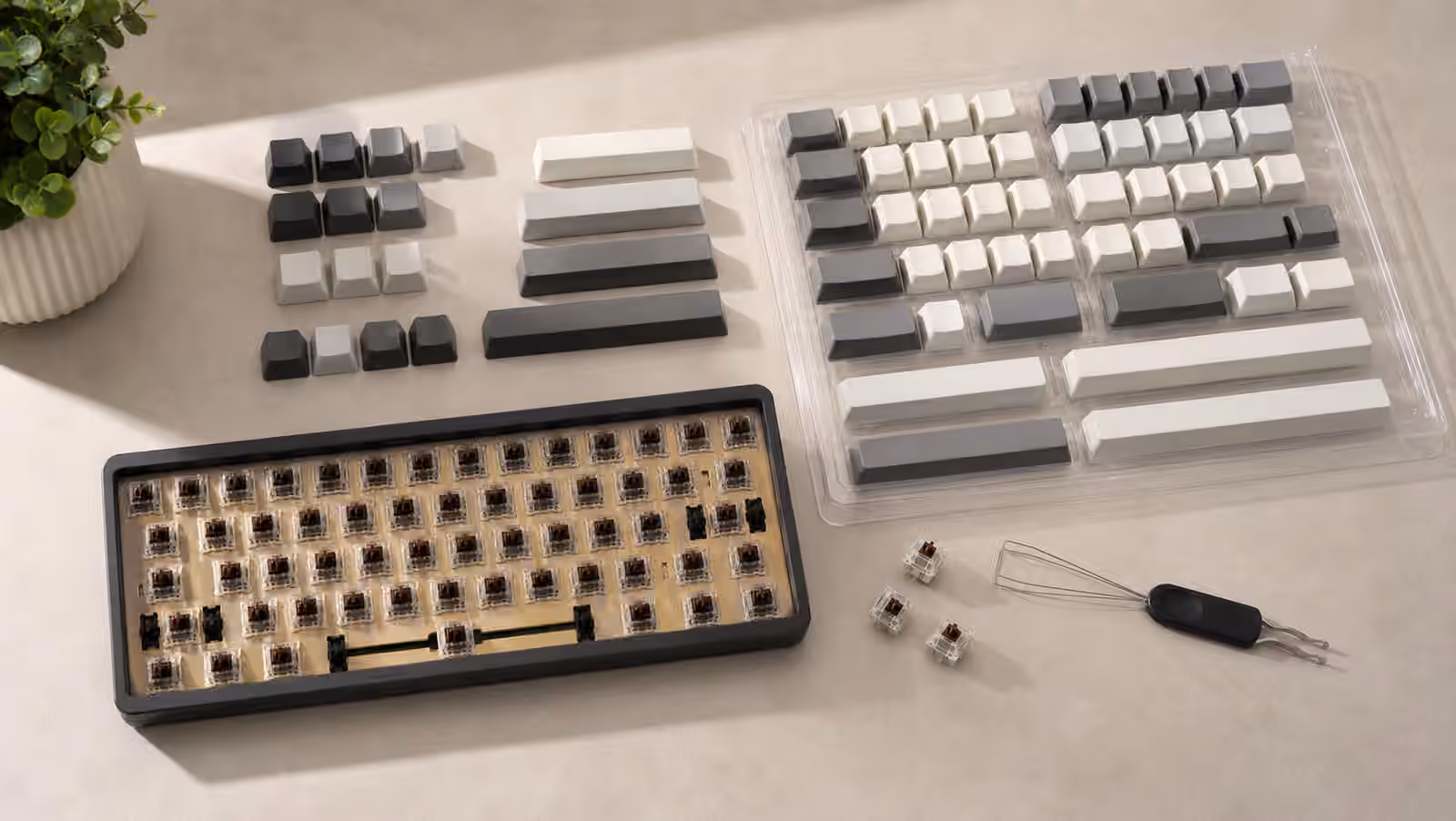 Blank keycaps in trays beside a compact mechanical keyboard with switches exposed.